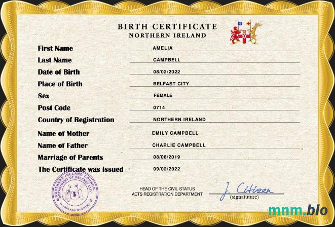Northern Ireland rekord życiowy narodziny certyfikat PSD szablon